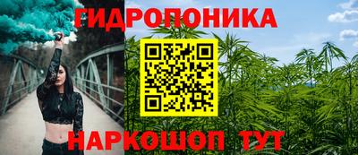 кокс Гусев