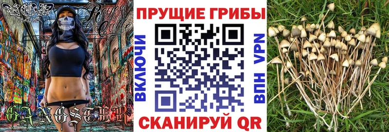 цены   мега зеркало  Галлюциногенные грибы Psilocybe  Ноябрьск 