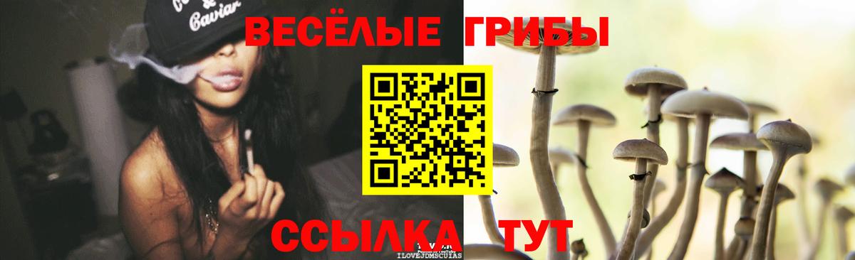 наркошоп  Галлюциногенные грибы мицелий  Вход с VPN  Ноябрьск 